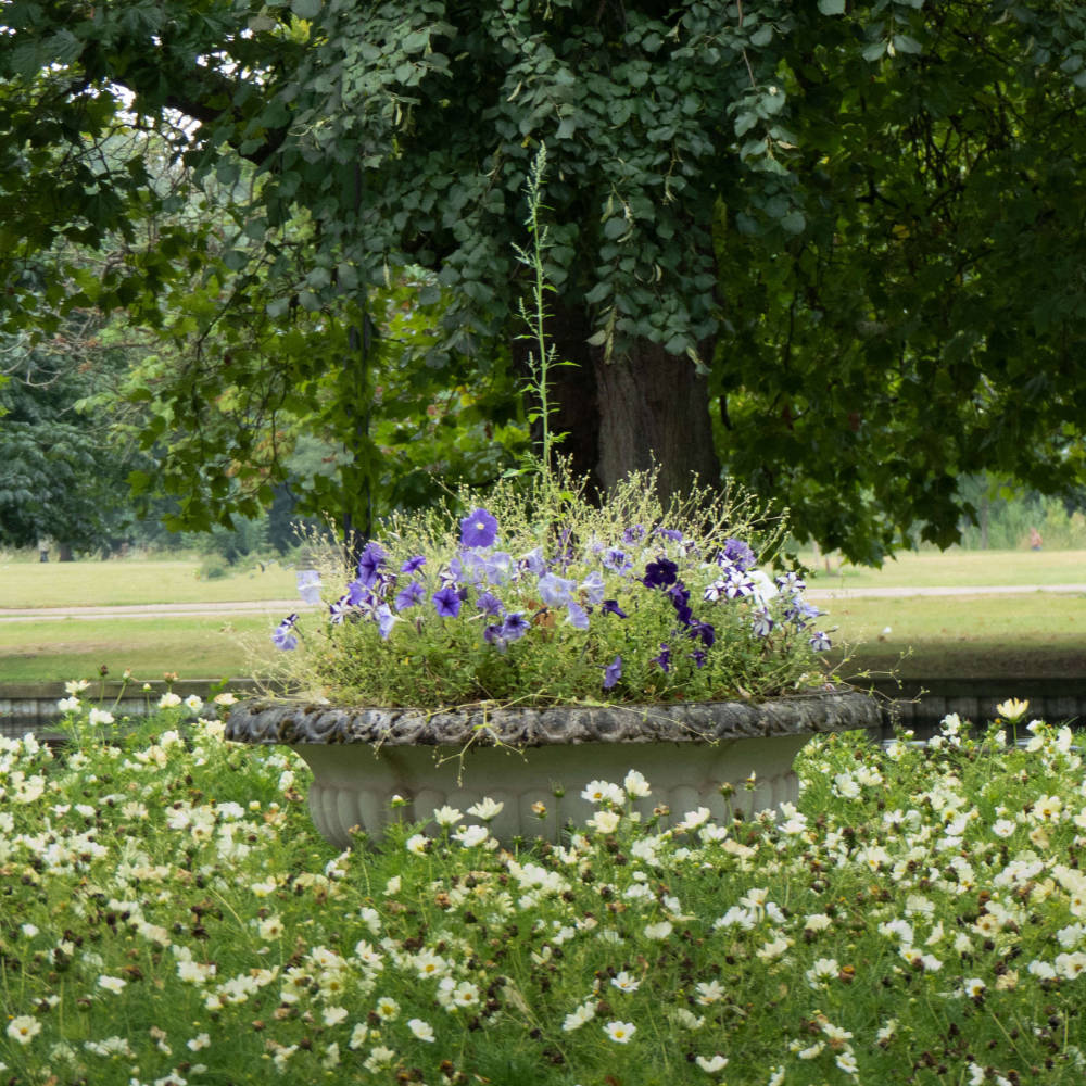 Creative Garden Arrangement